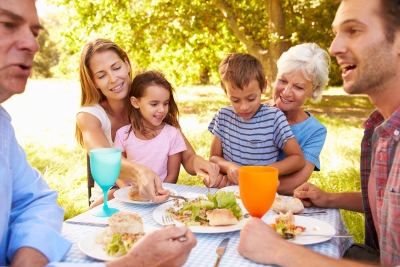Family Law Lawyer 